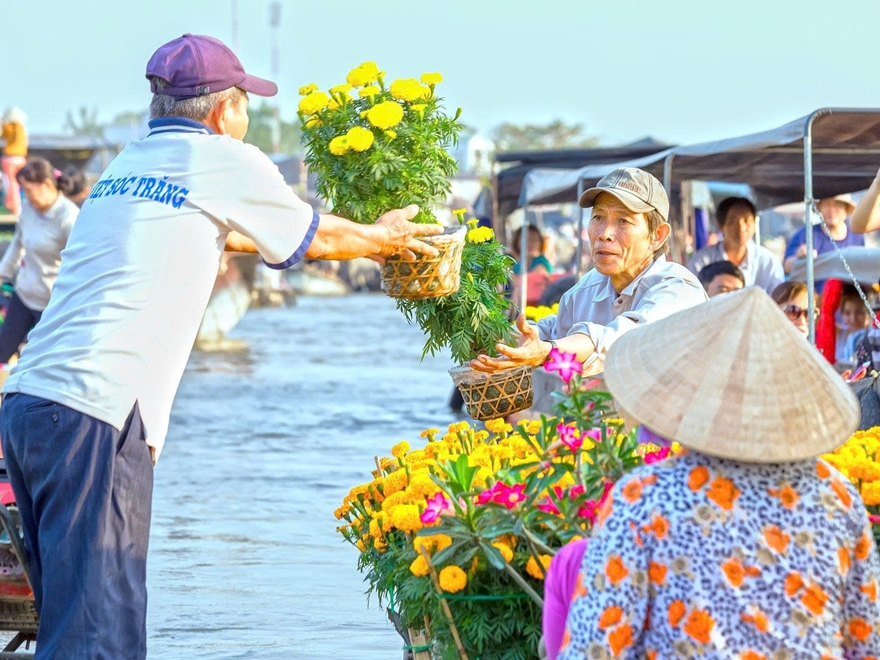Tour Cần Thơ - Một Ngày Khám Phá Tây Đô 