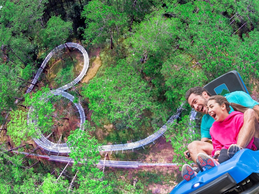 Vé Trải Nghiệm Tại Khu Du Lịch Datanla Đà Lạt