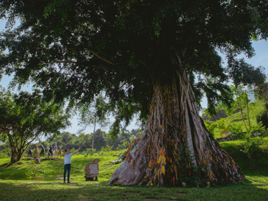 Tour Yang Bay Nha Trang 01 Ngày