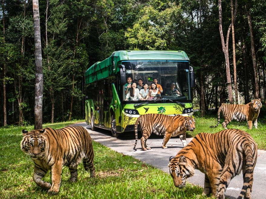 Tour Trải Nghiệm “ Nhốt Người Thả Thú” Tại Vinpearl Safari Phú Quốc