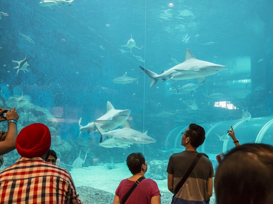 Vé Thuỷ Cung Singapore Oceanarium
